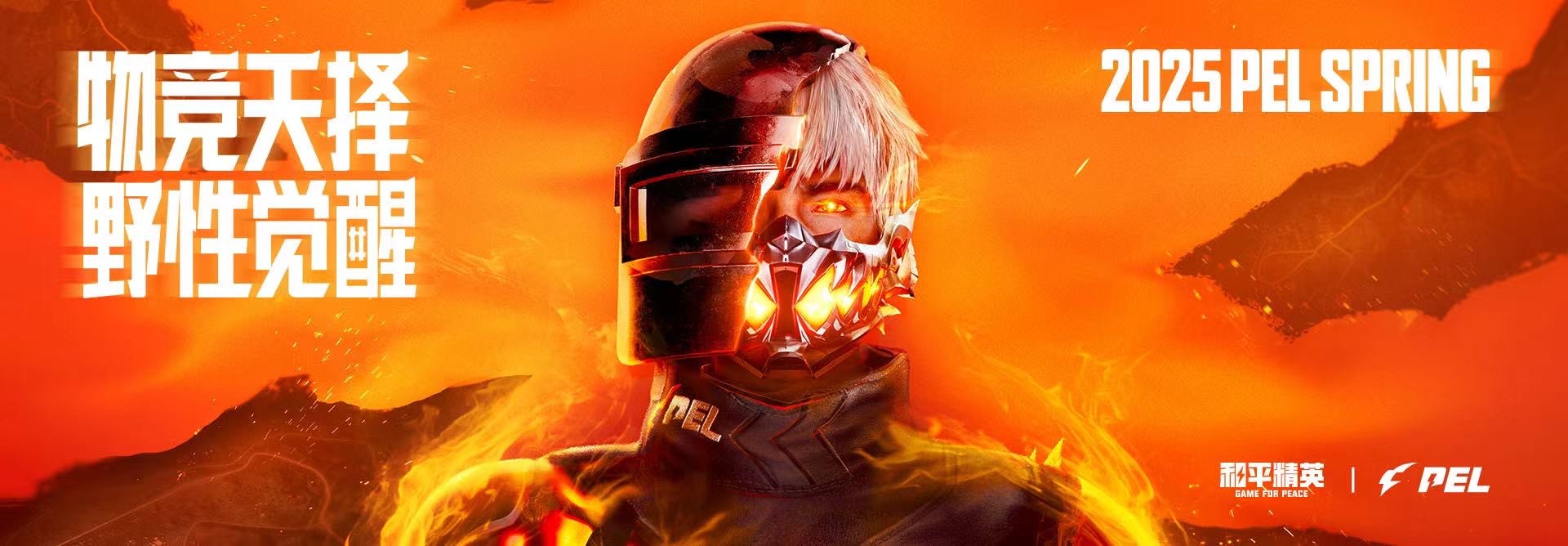 和平精英辅助【DODO】